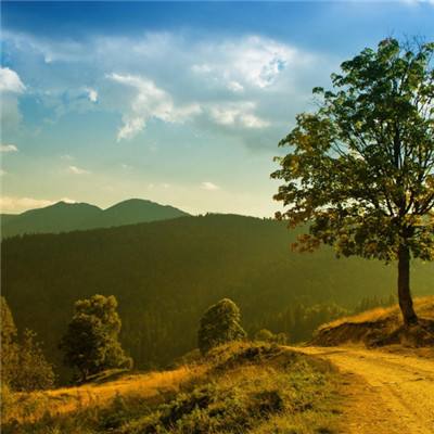 新普京888.3app截图